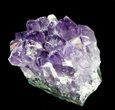 Amethyst Crystal Cluster - Uruguay #30555-1